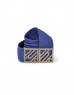 Blue Belt