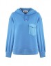 Blue Sweatshirt