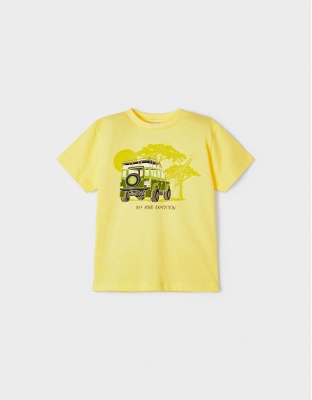 Pineapple S/s t-shirt