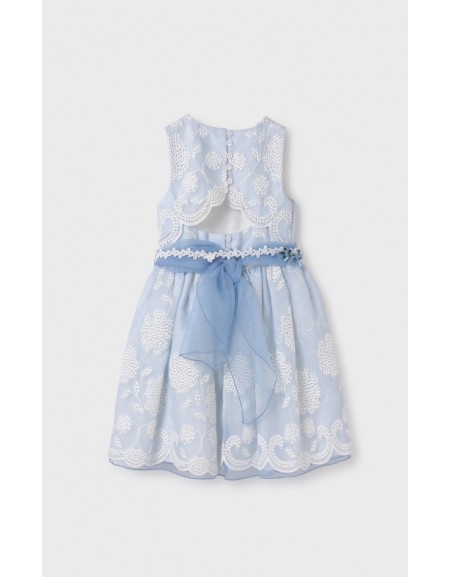 Sky Blue Organza Embroidered Dress