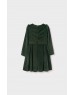 Green Velvet dress