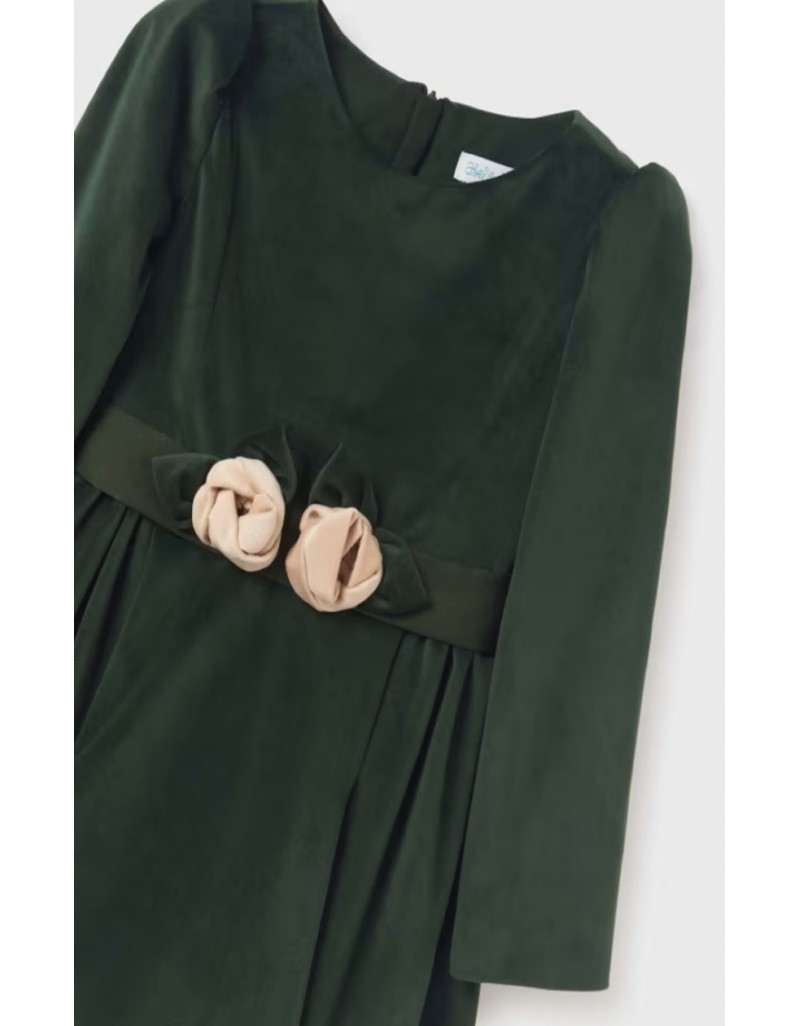 Green Velvet dress