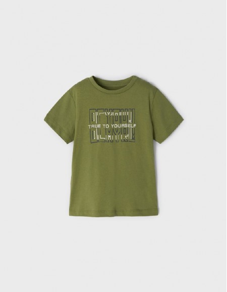 Turtle Gre Basic s/s t-shirt